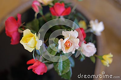 Diffferent colours roses in a vase Stock Photo