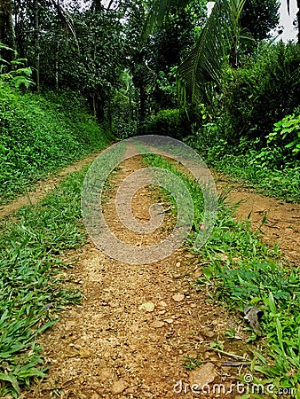 Difficult road lead to beatific destinations Stock Photo