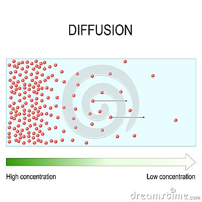 Diffusion is movement of molecules and atoms from a region of higher concentration to a region of lower concentration Vector Illustration