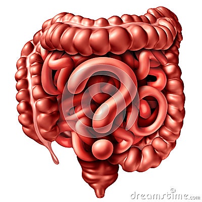 Digestion Question Concept Cartoon Illustration