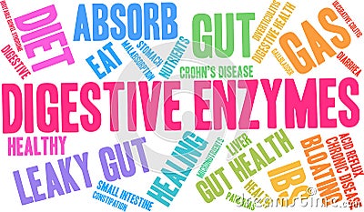 Digestive Enzymes Word Cloud Vector Illustration