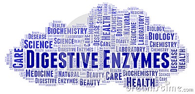 Digestive Enzymes word cloud. Stock Photo