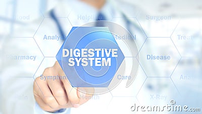 Digestive system, Doctor working on holographic interface, Motion Graphics Stock Photo