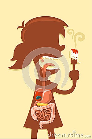 Digestive system of a girl Stock Photo