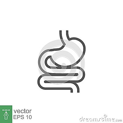 Digestive system, Human stomach and gastrointestinal system Infographic Vector Illustration