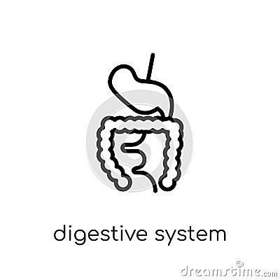 Digestive System icon. Trendy modern flat linear vector Digestive System icon on white background from thin line Human Body Parts Vector Illustration