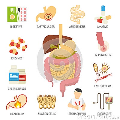 Digestive System Icons Set Vector Illustration