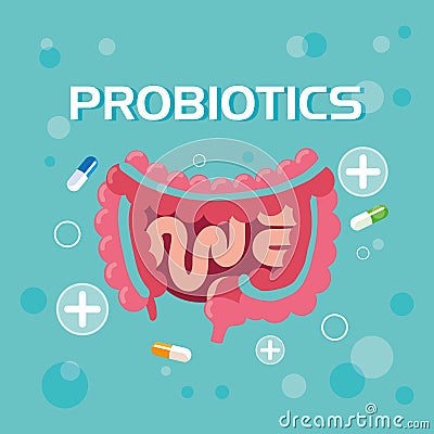 Digestive system with probiotics medicines Vector Illustration