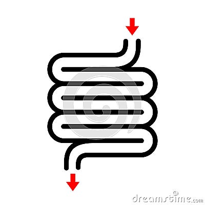 Digestive tract vector icon Vector Illustration
