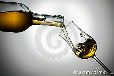 Digestive tulip of premium whiskey Stock Photo