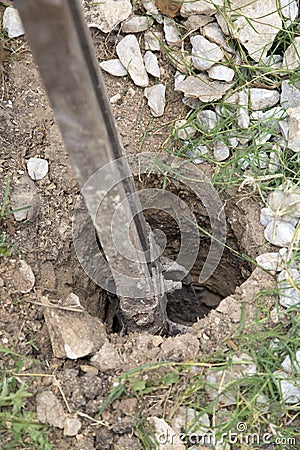 Digging a fence hole in the ground Stock Photo