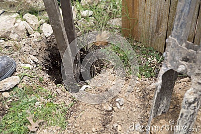 Digging a fence hole in the yard Stock Photo