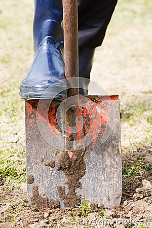 Digging ground in the field Stock Photo