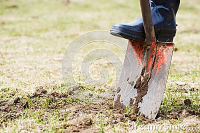 Digging ground in the field Stock Photo