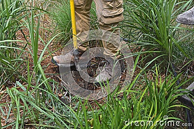 Digging or a pole hole for a new fence Stock Photo