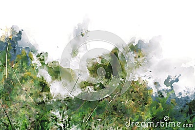 Digital abstract painting of wildflower, watercolor painting illustration Cartoon Illustration