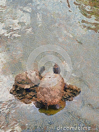 Digital brushwork of two turtles relax on a rock. Stock Photo