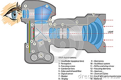 Digital camera Vector Illustration