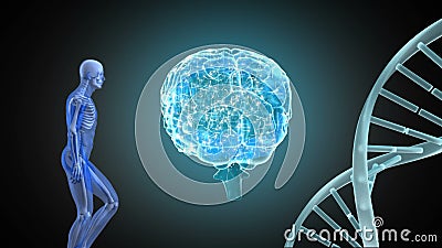 Digital Composite of a Human, Brain, and the Genetic Code Stock Video - Video of science, body: 146657429 Digital Composite of a Human, Brain, and the Genetic Code Stock Video - Video of science, body: 146657429