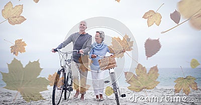 Digital composite image of multiple leaves against senior couple walking with bicycle at the beach Stock Photo