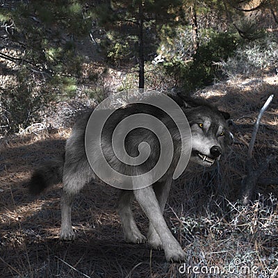3D Illustration of a Wolf Stock Photo