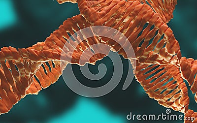 Digital 3d model of DNA structure,3d Rendering for background Stock Photo