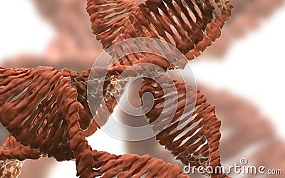 Digital 3d model of DNA structure,3d Rendering for background Stock Photo