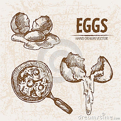 Digital detailed line art cooking eggs Cartoon Illustration