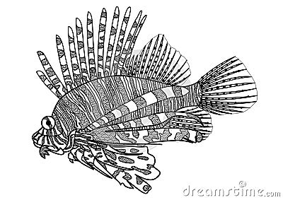 Digital drawing zentangle lion fish for coloring book,tattoo,shirt design Vector Illustration