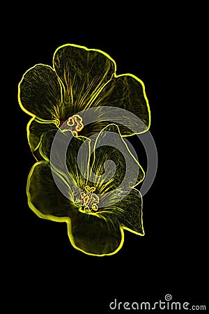 Digital flower 4 Stock Photo