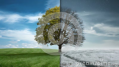 Digital Four season change concept with tree against summer winter sky Stock Photo