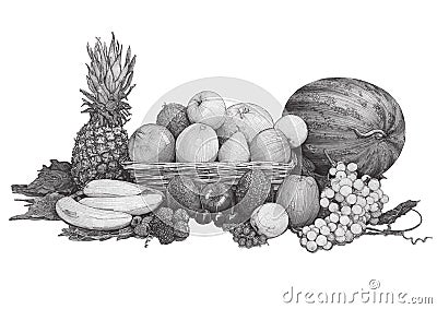 Fruit set illustration pencil sketch Cartoon Illustration