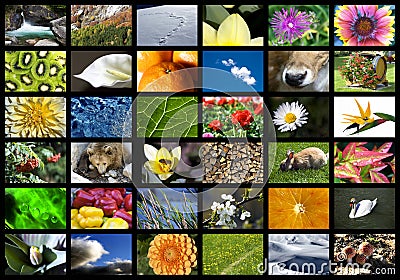 Digital nature Stock Photo