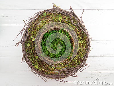 Branches Digital Newborn Backdrop Stock Photo