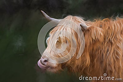 Digital painting of a beautiful horned Highland Cow in a natural rural setting Stock Photo