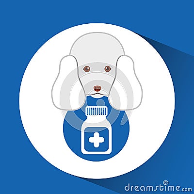 Digital pet shop with poodle and container medicine Vector Illustration