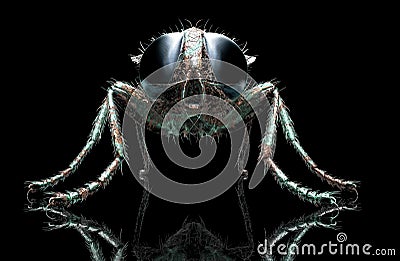 Digital safety concept electronic computer bug isolated Cartoon Illustration