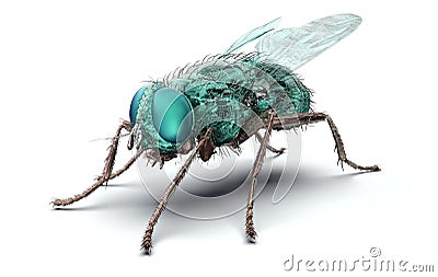 Digital safety concept electronic computer bug isolated Cartoon Illustration