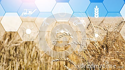 Digital sensor icons for management and monitoring agriculture Stock Photo