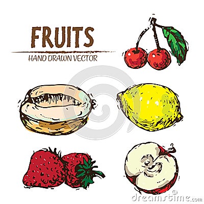 Digital vector detailed fruit hand drawn Vector Illustration