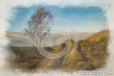 Digital watercolor painting of a lone Silver Birch tree Stock Photo