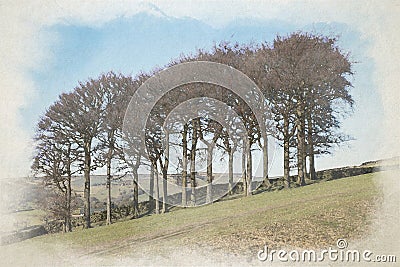 Digital watercolour painting of Twenty Trees at Hayfield in the Peak District National Park Stock Photo