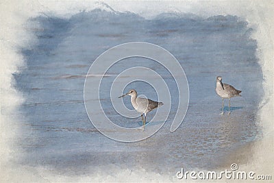 A digital watercolour painting of two Common Sandpipers wading in the sea Stock Photo