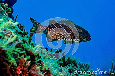 Digitally created watercolor painting of a Tiger Grouper Mycteroperca tigris swimming over the coral reef Cartoon Illustration