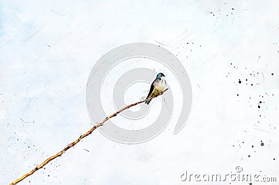 Digitally created watercolor painting of a Tree Swallow Tachycineta bicolor bird perched high on a long tree branch Cartoon Illustration