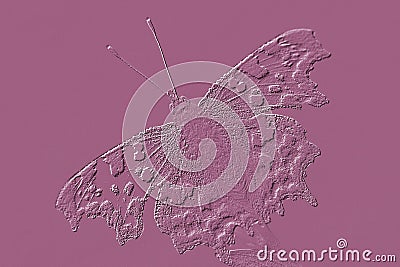 Embossed image of a Comma Polygonia C-Album Butterfly Stock Photo