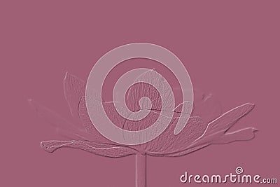 Digitally embossed image of the delicate petals of a Anemone Stock Photo