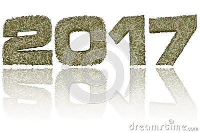 2017 digits composed of military camouflage stripes on glossy white background Stock Photo