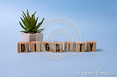 Dignity word written on wood block on blue Stock Photo