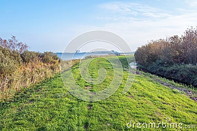 at the nature reserve Sondeler Leijen Stock Photo